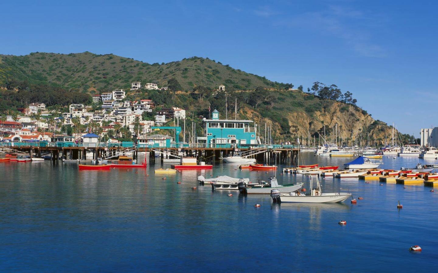 Avalon
