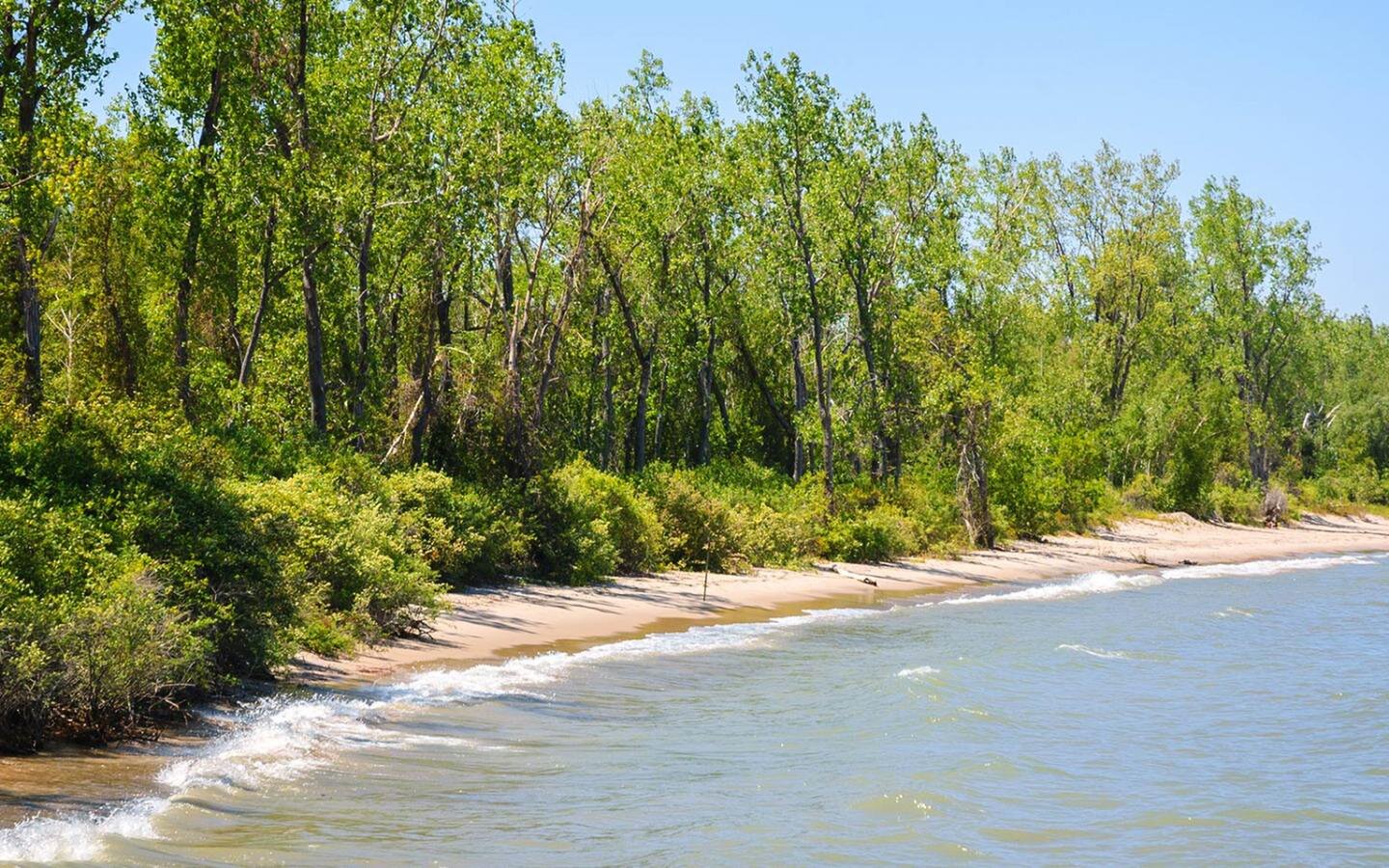 Erie