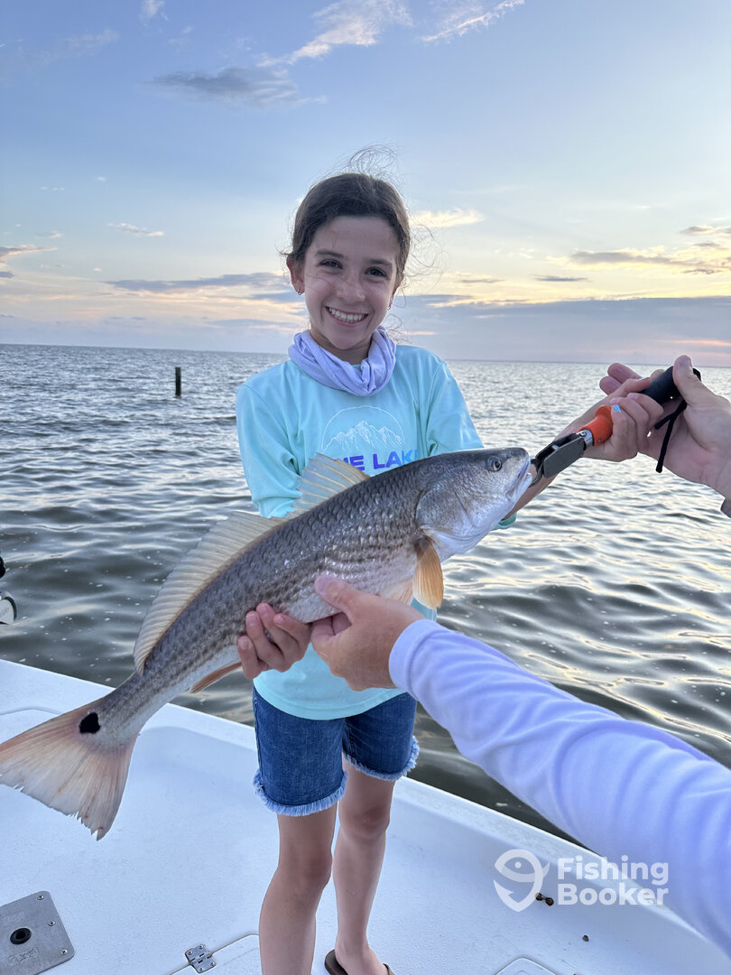 Gulf Shores Report Photo 0