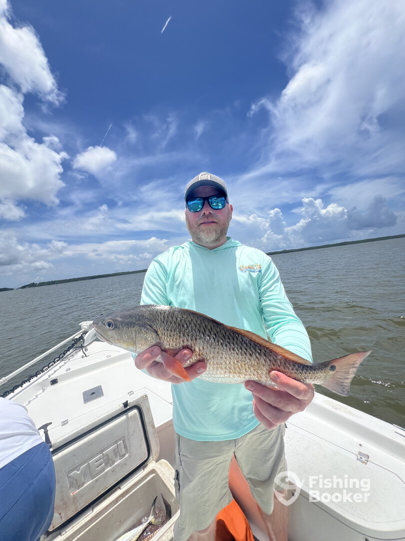 Gulf Shores Report Photo 0