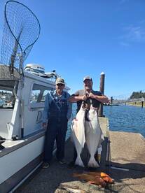 Halibut bite is hot right now 