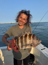 Limited Sheepshead and Flounder trips st