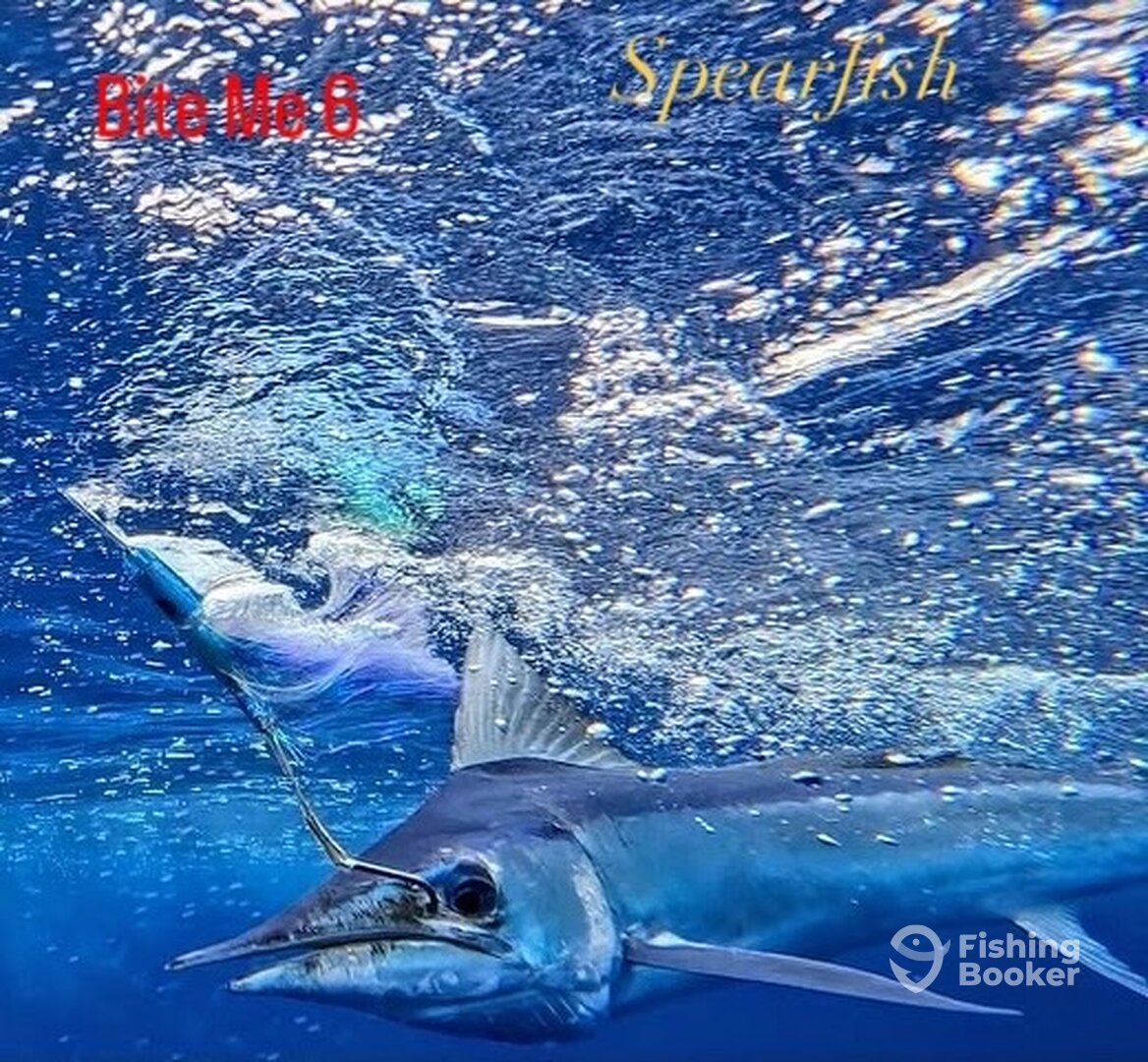Spearfish