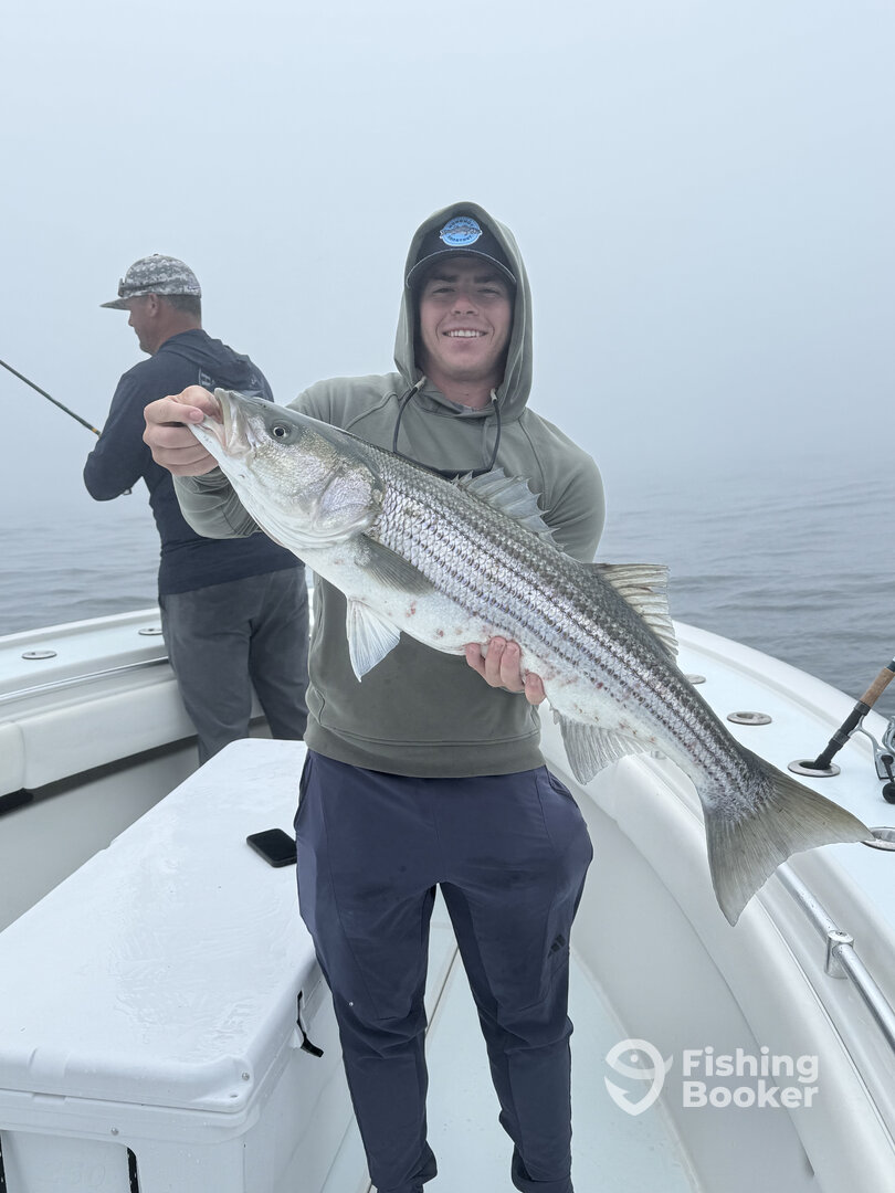 Chatham Report Photo 0