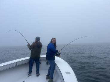 Dennis Report Photo 1