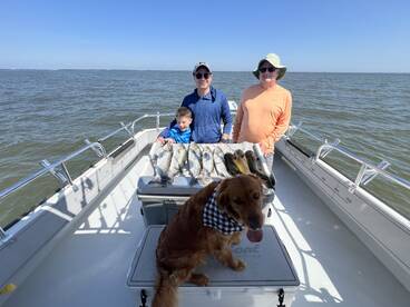 Rock Hall Report Photo 2