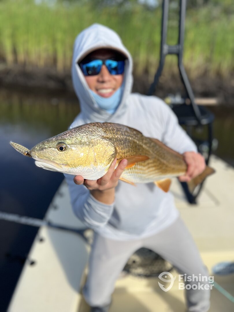 Savannah Report Photo 0