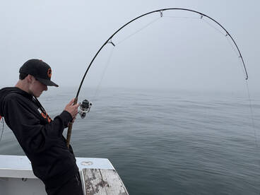 Striper and Blues @ Block Island 