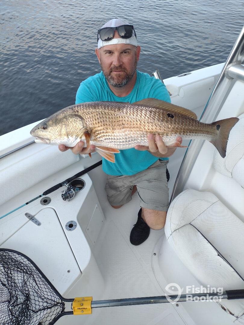 Mount Pleasant Report Photo 0