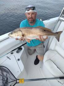 Live Bait Big Fish!!!