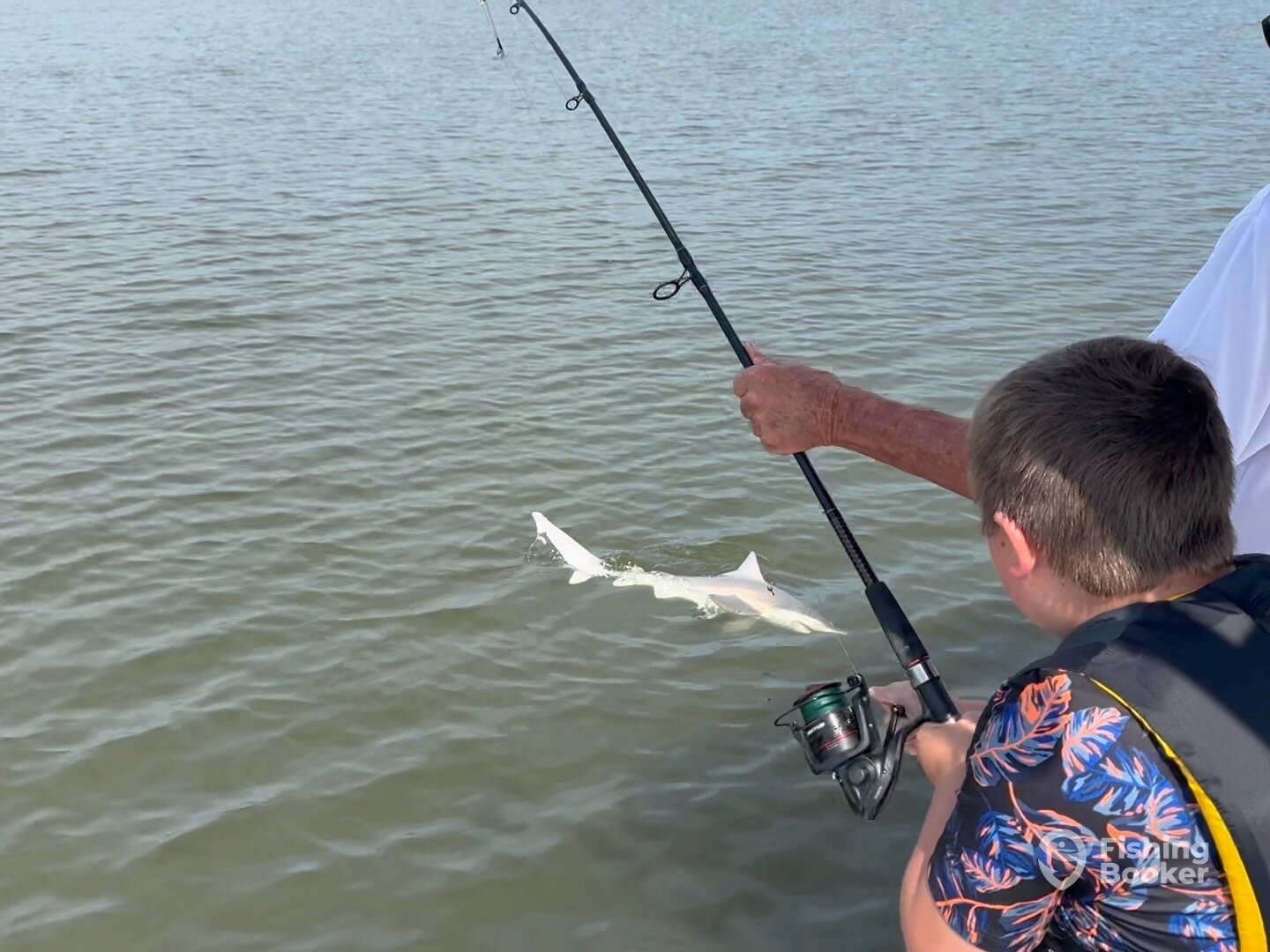 Wadmalaw Island Report Photo 0