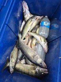 Ashtabula Report Photo 3