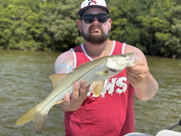 Snook bite is on fire right now  