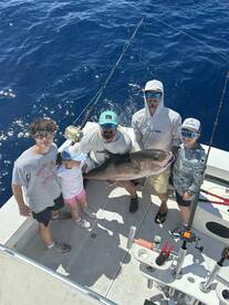 Nice trophy Amberjack and Goliath groupe