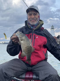 Buffalo Report Photo 1