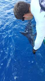 Virginia Beach Report Photo 1