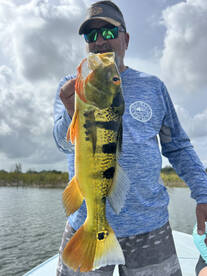 Carolina Report Photo 1