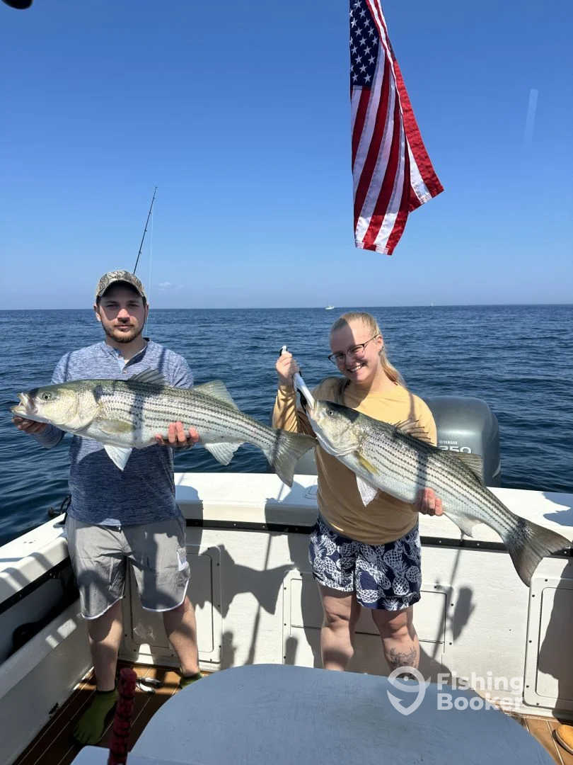 Bourne Report Photo 0