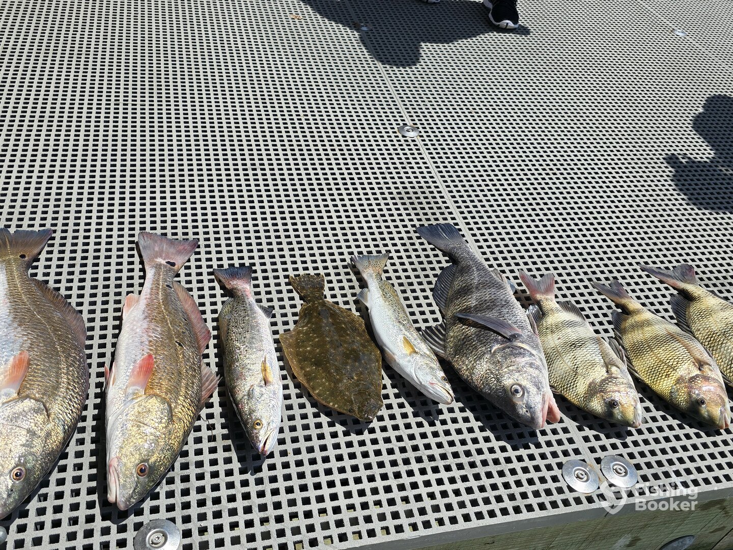 D'Iberville Report Photo 0