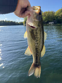 Bass/Pike/Pans on fire!