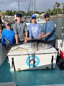 Haleiwa Report Photo 1