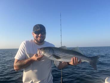 Dennis Report Photo 2