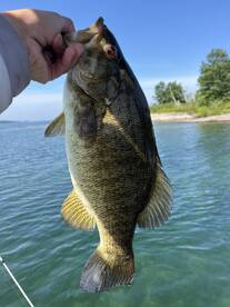 Morristown Report Photo 2