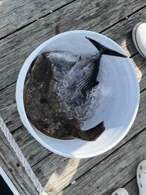 Wildwood Crest Report Photo 2