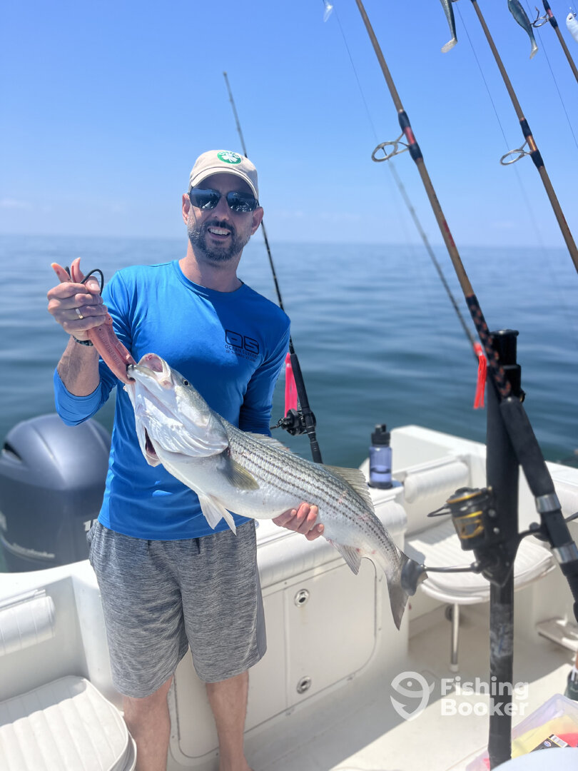 Dennis Report Photo 0