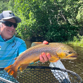 Wolf Creek Report Photo 2