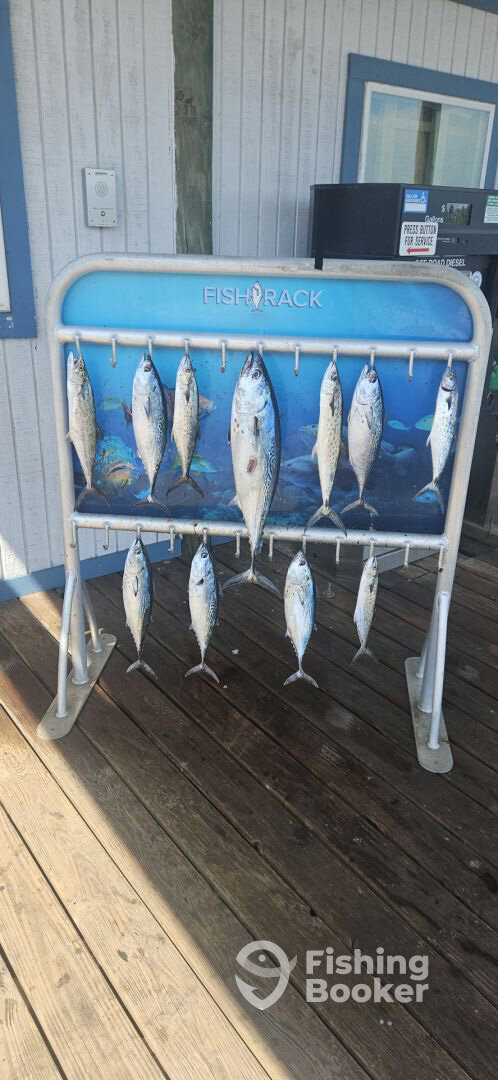 Panama City Report Photo 0