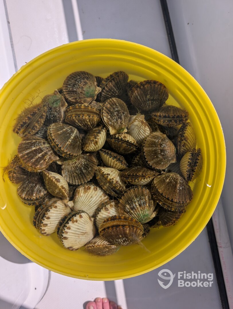 Steinhatchee Report Photo 0