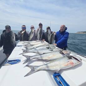 Narragansett Report Photo 2