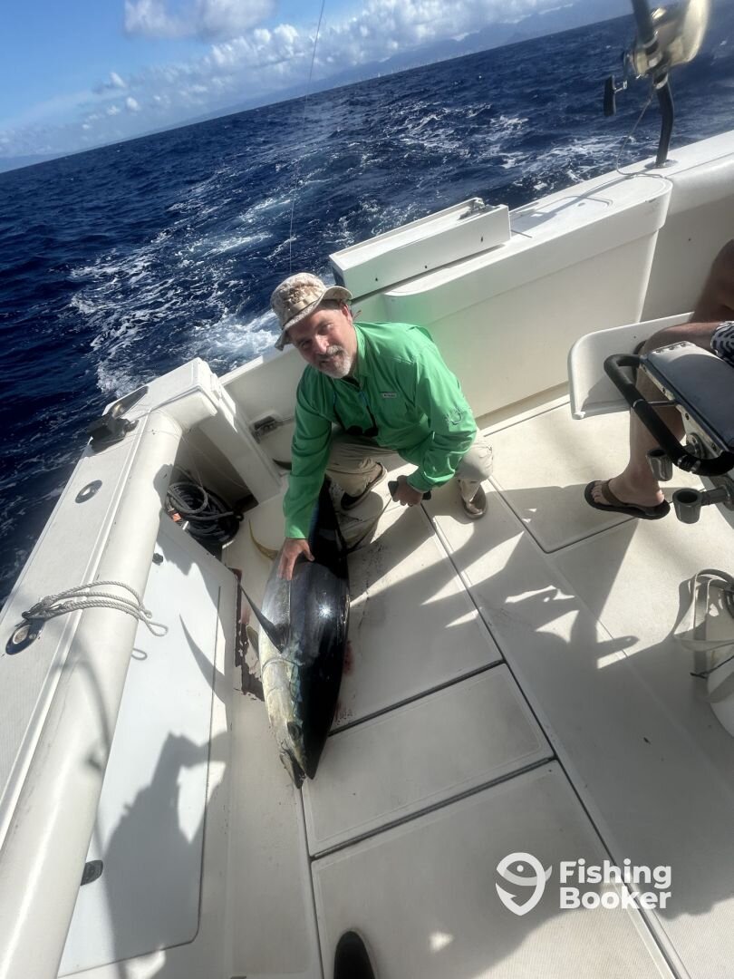 Honolulu Report Photo 0