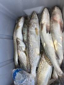 Summer is in full swing ! 