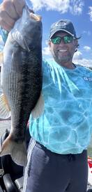 Branson Report Photo 1