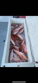 There just waiting on you. 