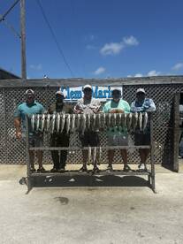 Corpus Christi Report Photo 2