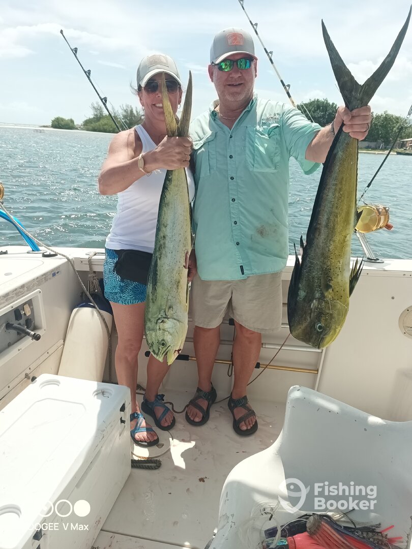 Montego Bay Report Photo 0