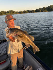 Orlando Report Photo 1