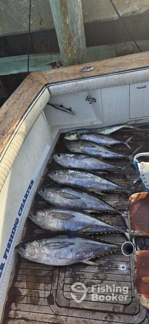 Norfolk Report Photo 0