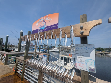 Fired Up Spanish Mackerel