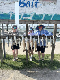 Port Aransas Report Photo 2