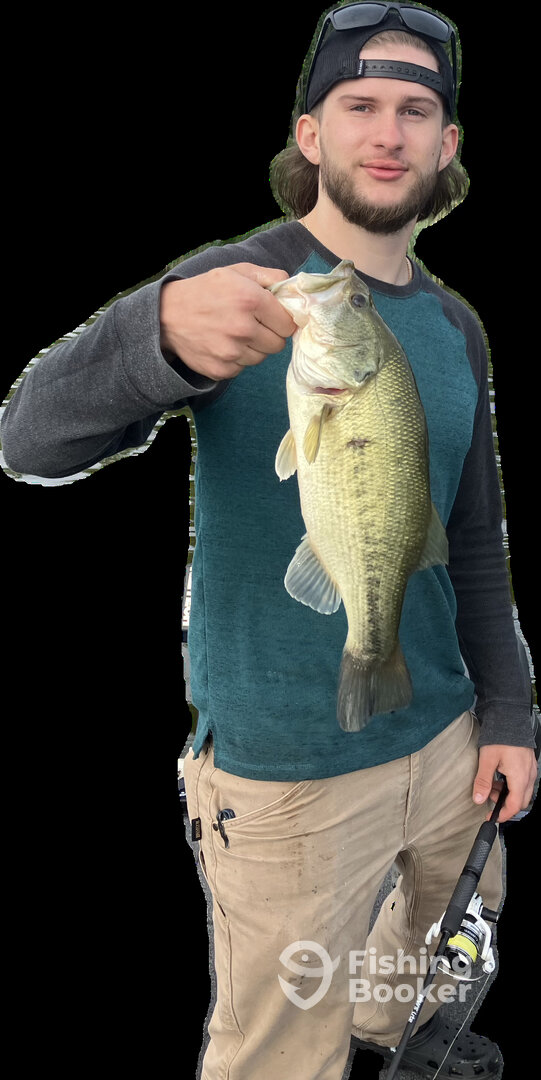 Hilton Report Photo 0