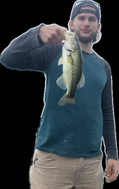 Hilton Report Photo 2