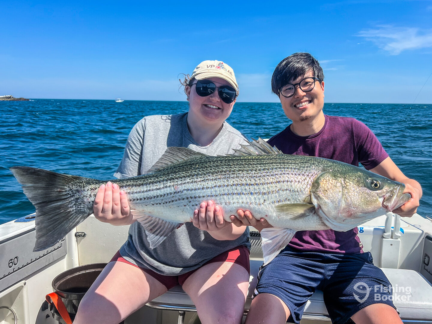 Newport Report Photo 0