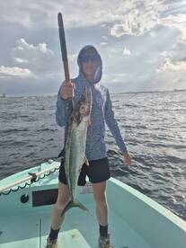 Kings Kings and more kings