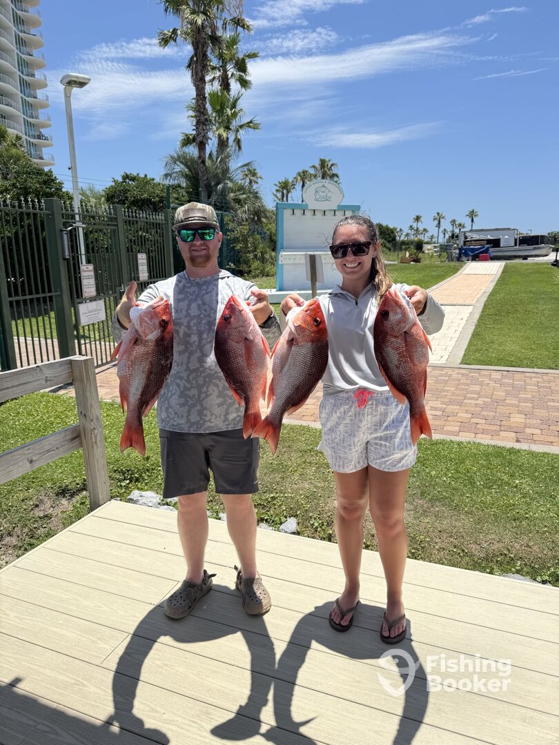 Orange Beach Report Photo 0