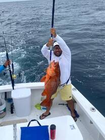 Cubera Snapper Pearl Island Fishing 