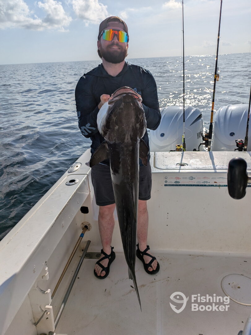 D'Iberville Report Photo 0